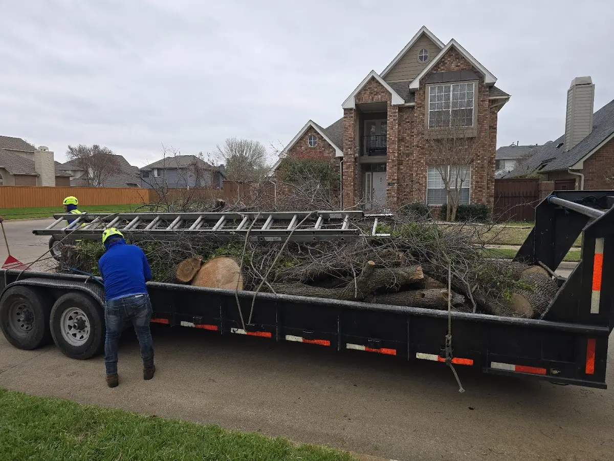 Expert Tree Fertilization with proper safety equipment in Liberty